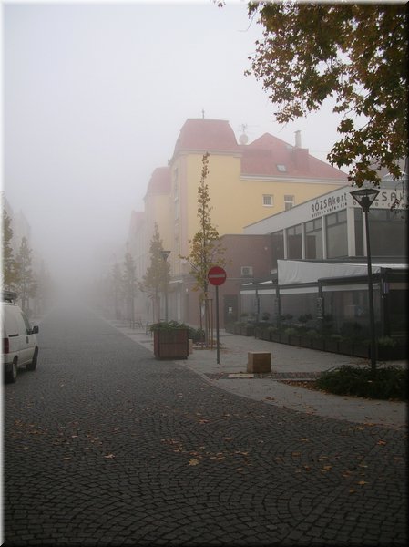 DSCN2224.jpg