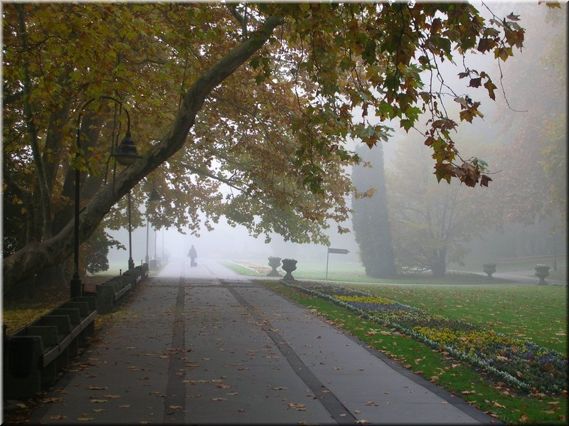 DSCN2228.JPG