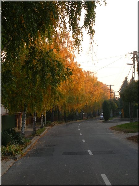 DSCN2235.jpg