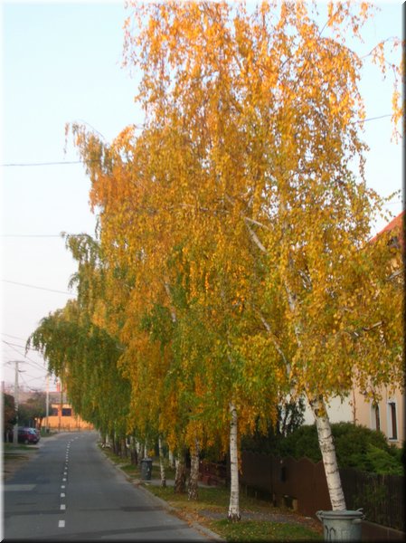 DSCN2236.jpg