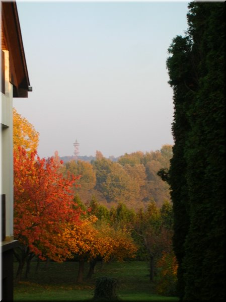 DSCN2237.jpg