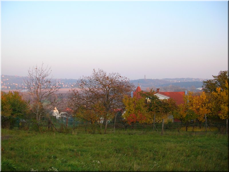 DSCN2254.JPG