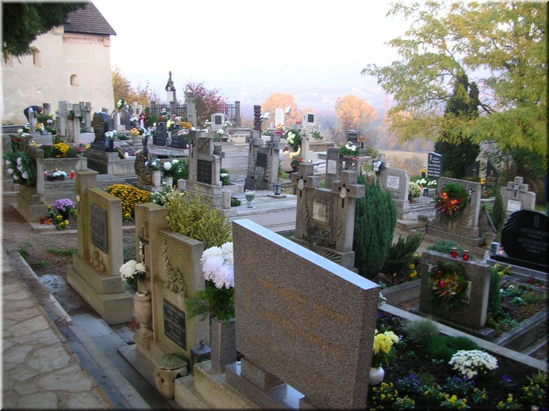 DSCN2260.JPG
