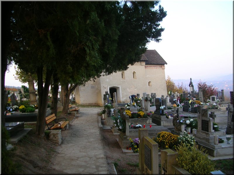 DSCN2261.JPG