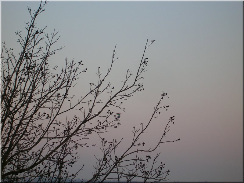 DSCN2281.JPG