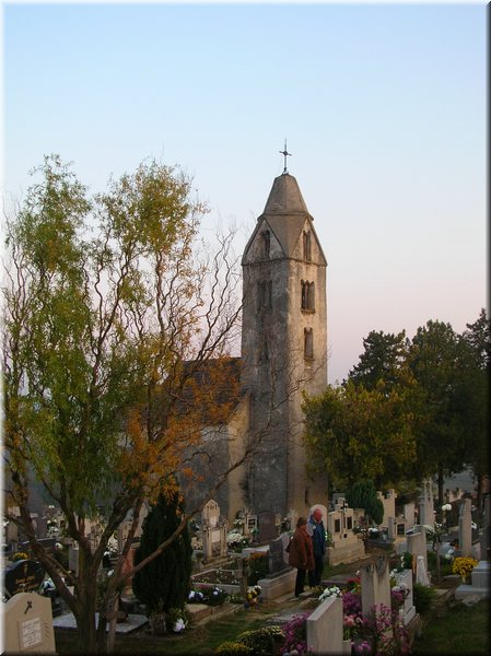 DSCN2284.jpg