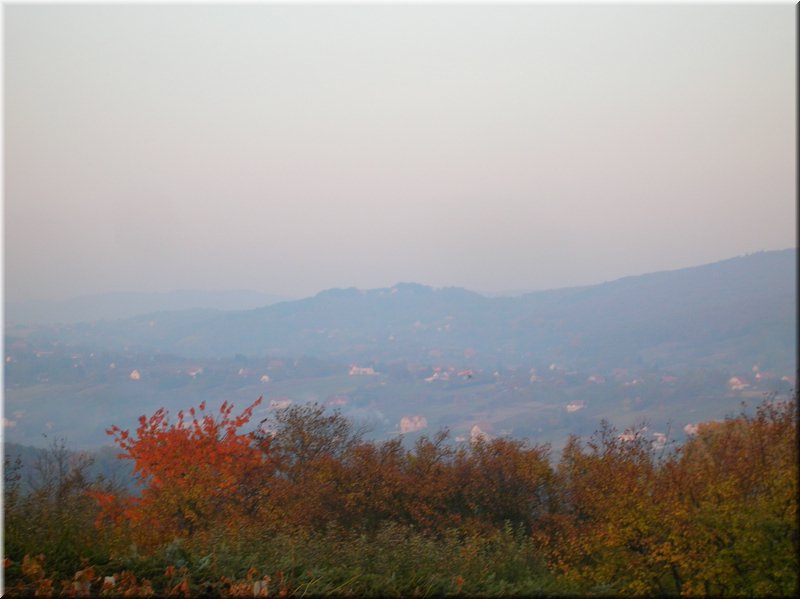 DSCN2286.JPG