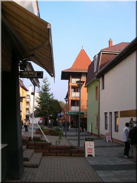 DSCN2296.jpg