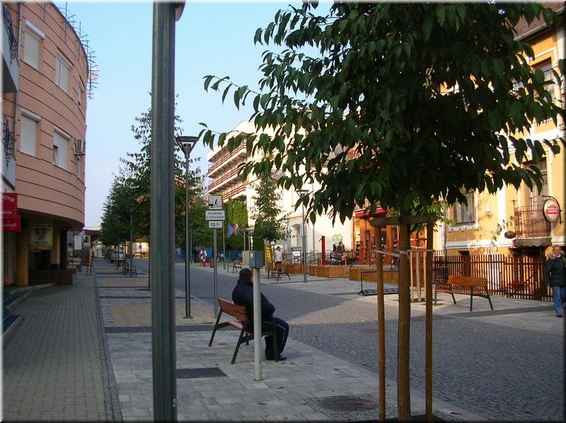 DSCN2298.jpg