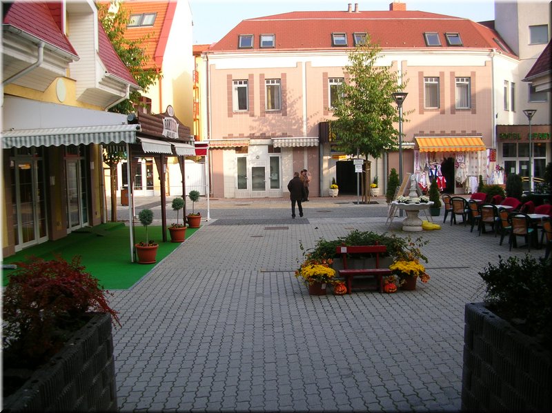 DSCN2304.JPG