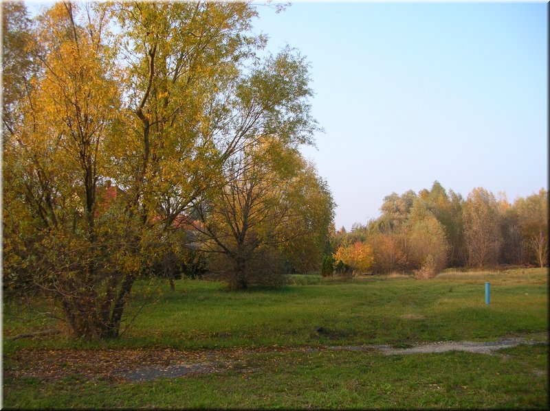DSCN2308.JPG