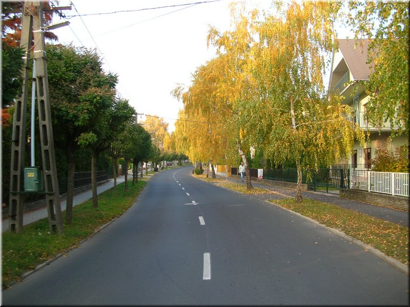 DSCN2311.JPG
