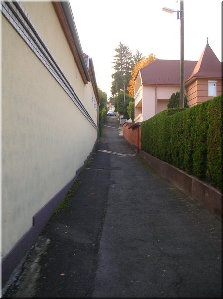 DSCN2312.jpg