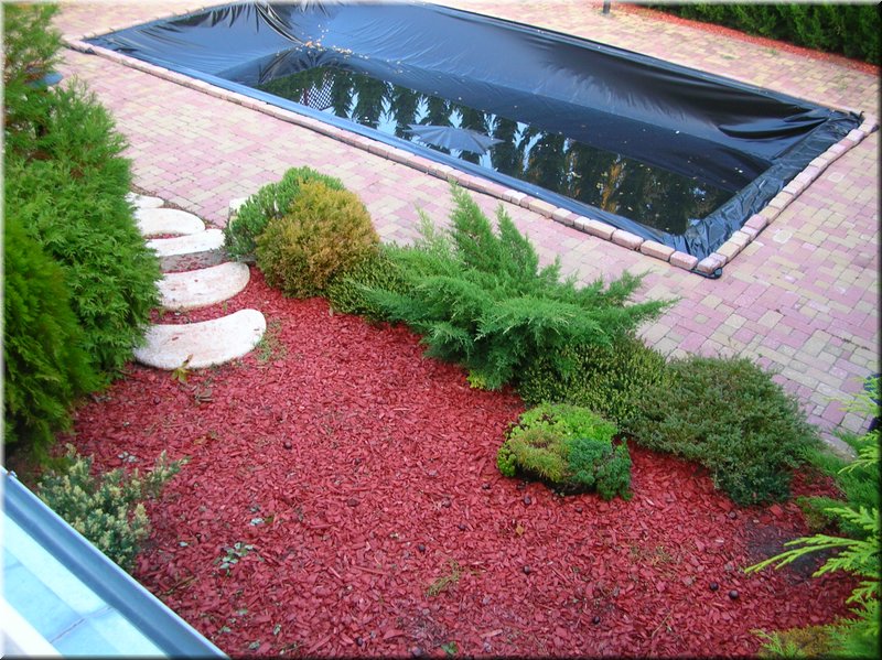 DSCN2320.JPG