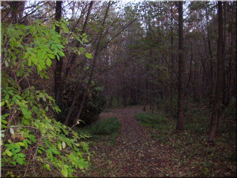 DSCN2329.jpg