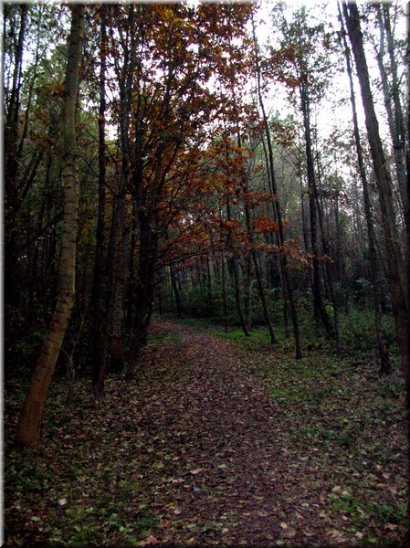 DSCN2330.jpg