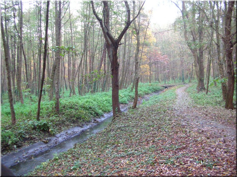 DSCN2337.JPG