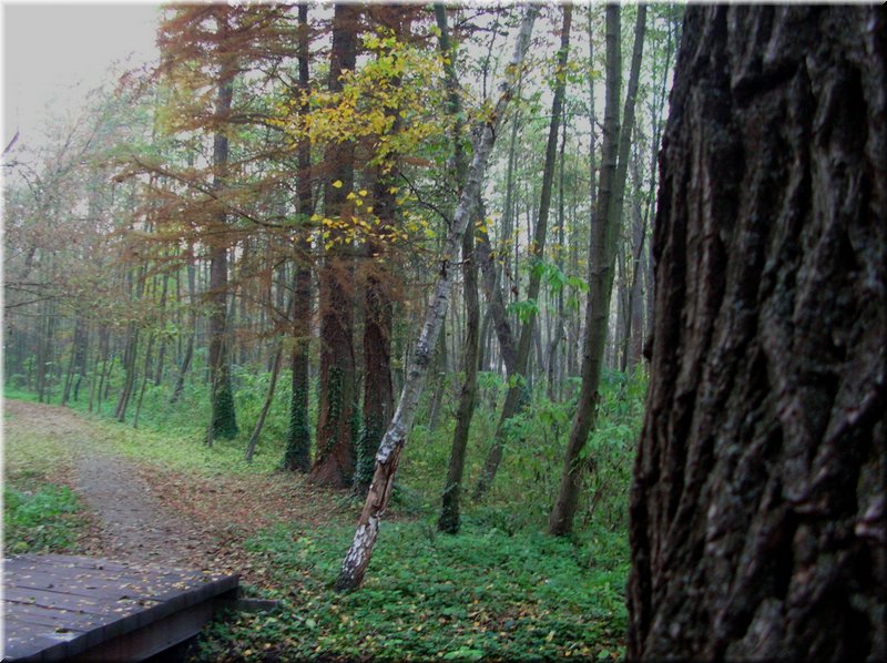 DSCN2338.jpg