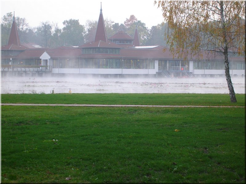 DSCN2341.JPG