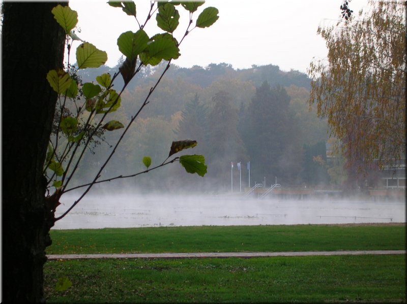 DSCN2346.JPG