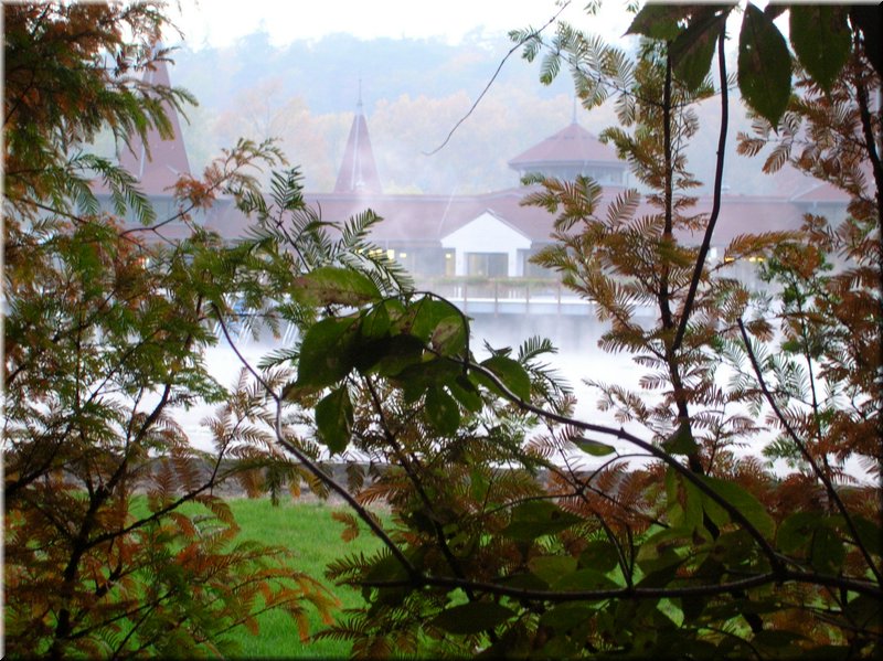 DSCN2347.JPG