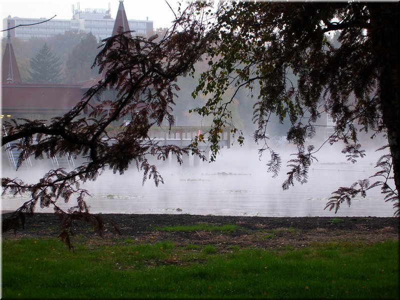 DSCN2352.jpg