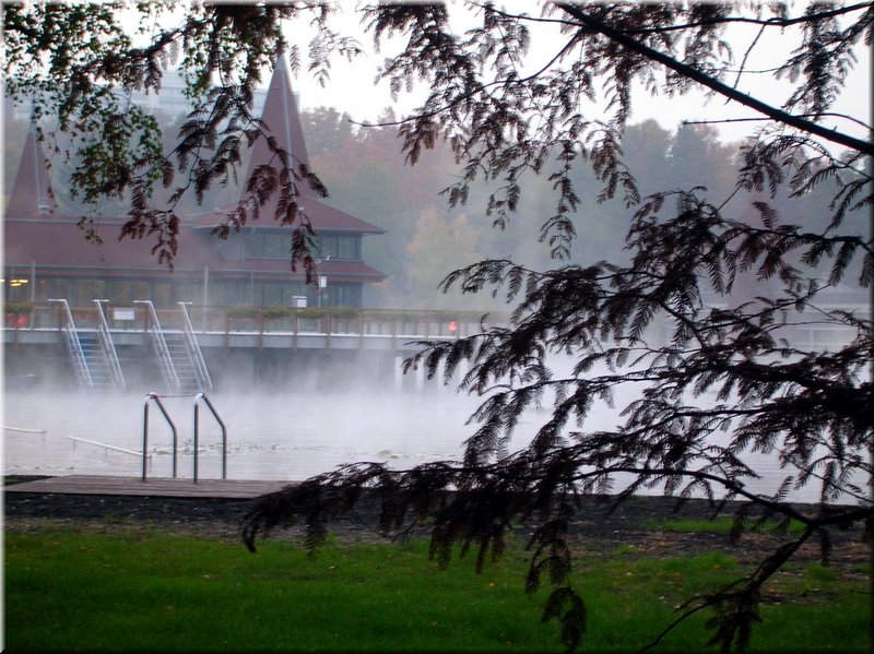 DSCN2353.jpg