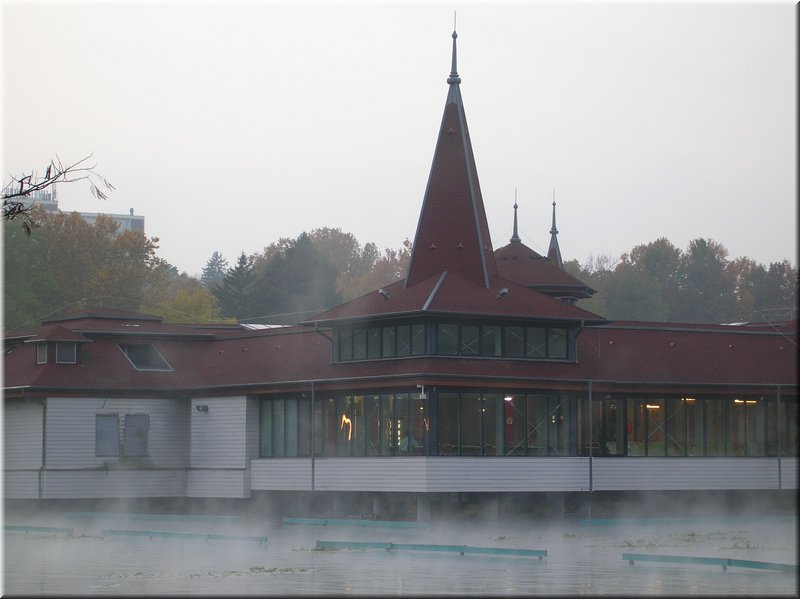 DSCN2359.jpg