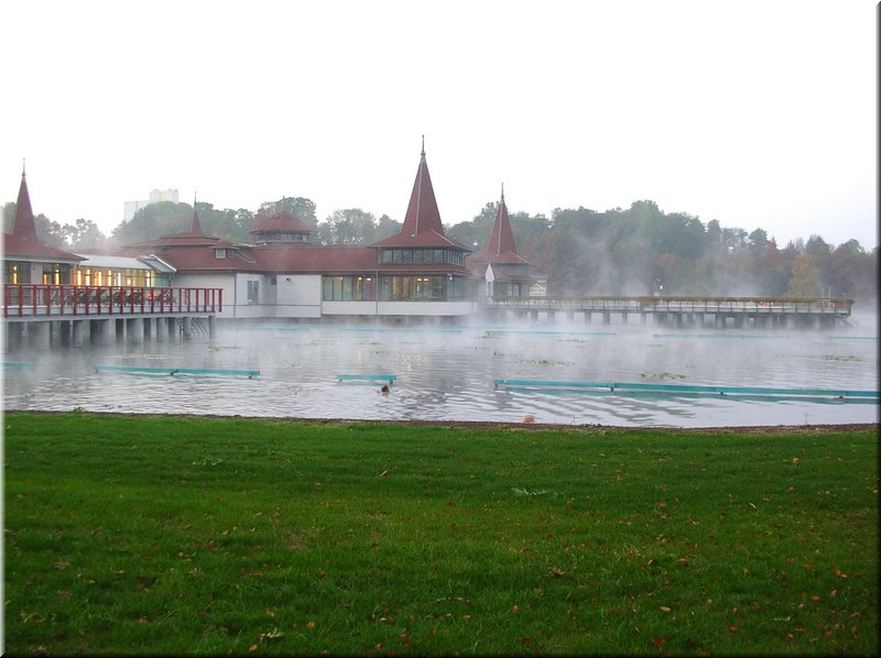 DSCN2368.jpg