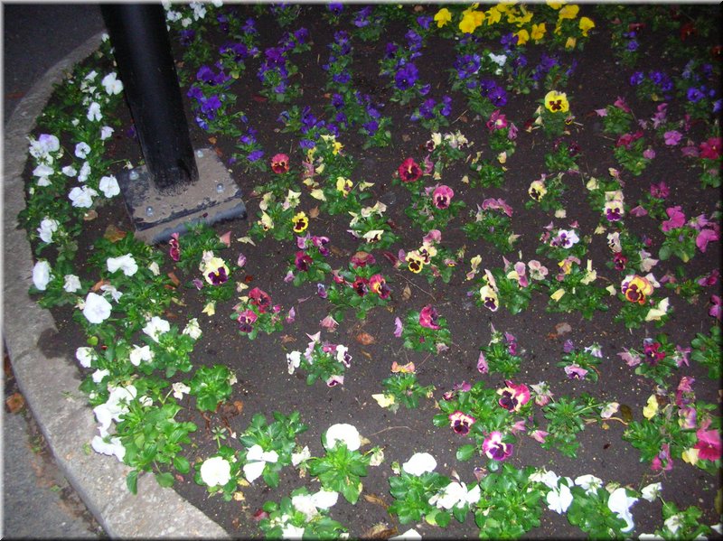 DSCN2380.JPG