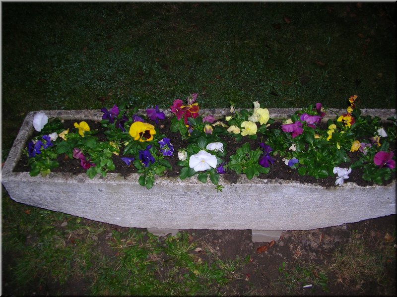 DSCN2382.JPG