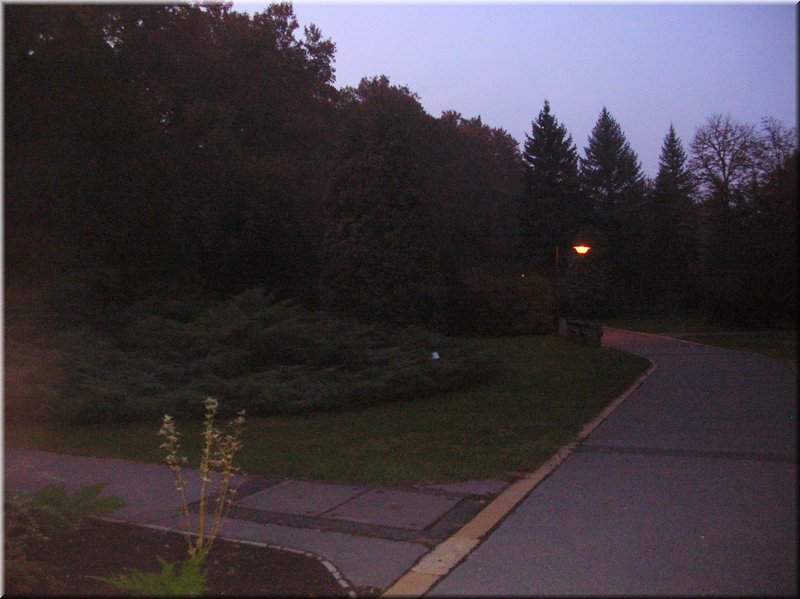 DSCN2383.jpg