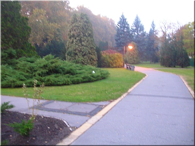 DSCN2385.jpg