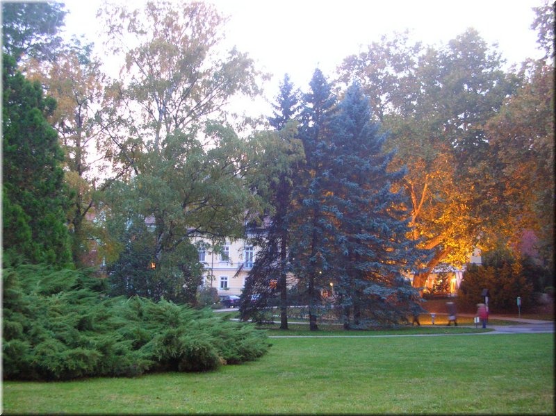 DSCN2388.JPG