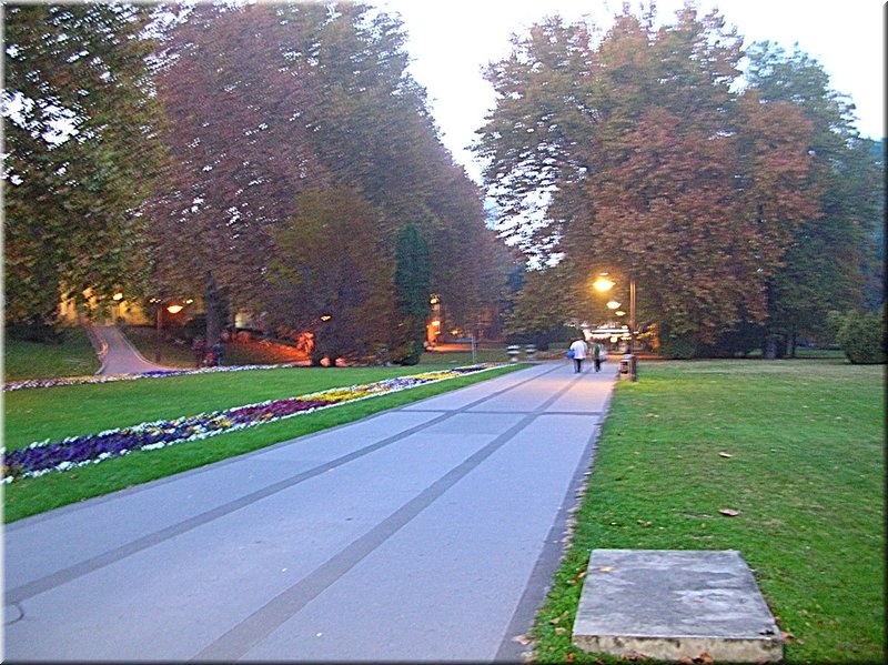 DSCN2390.jpg