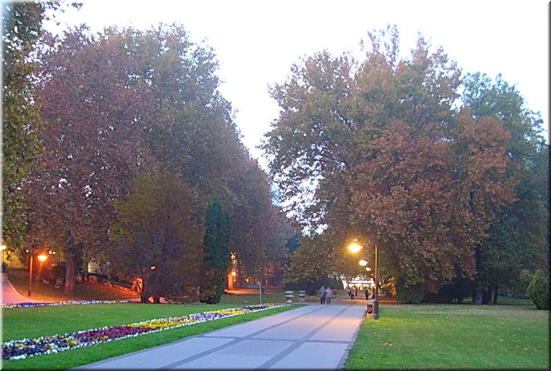 DSCN2392.jpg