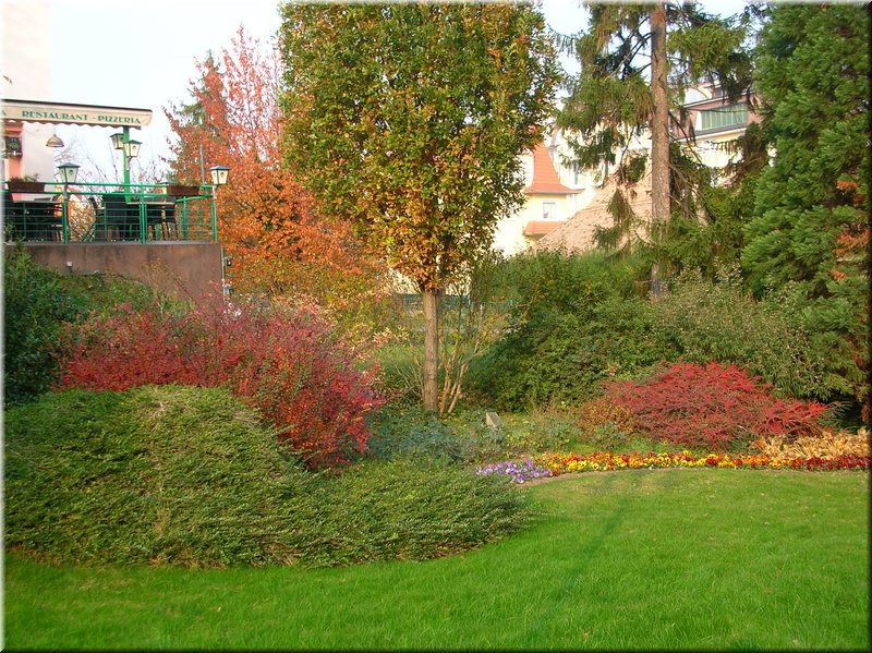 DSCN2408.JPG