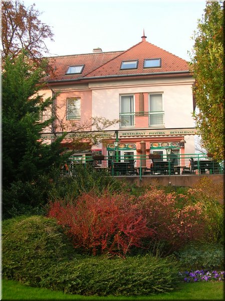 DSCN2409.jpg