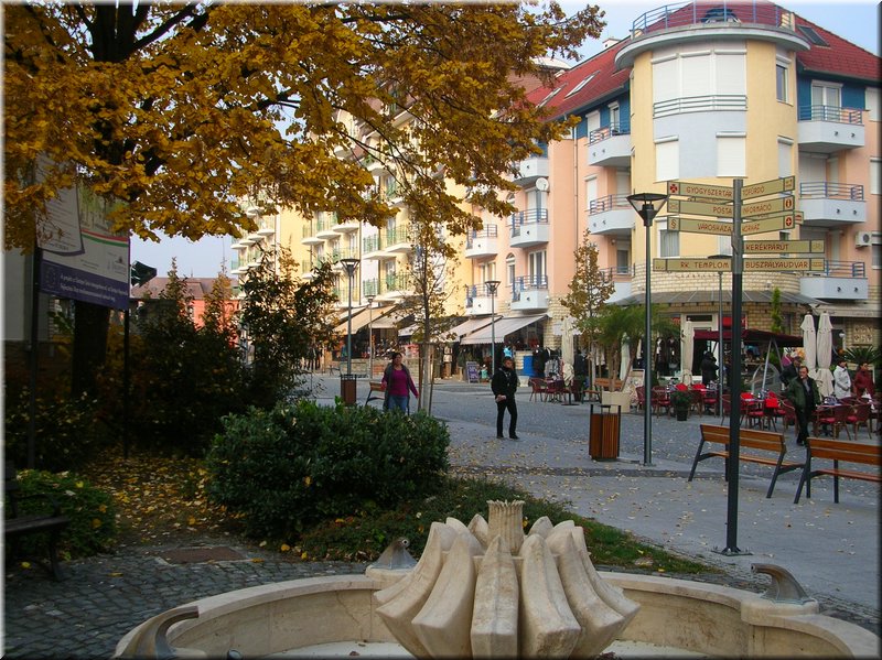 DSCN2411.JPG