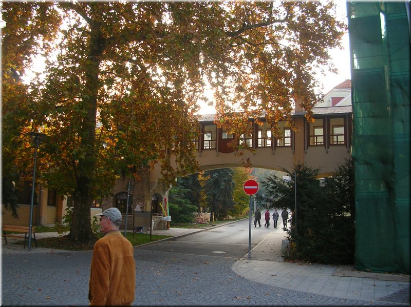 DSCN2416.JPG