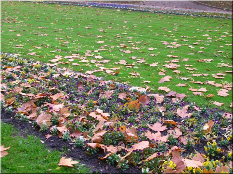 DSCN2428.JPG