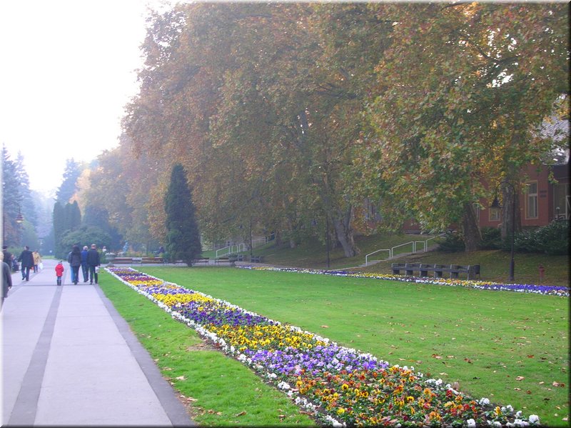 DSCN2430.JPG