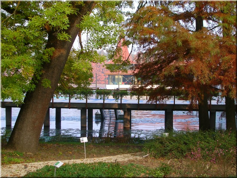 DSCN2443.JPG