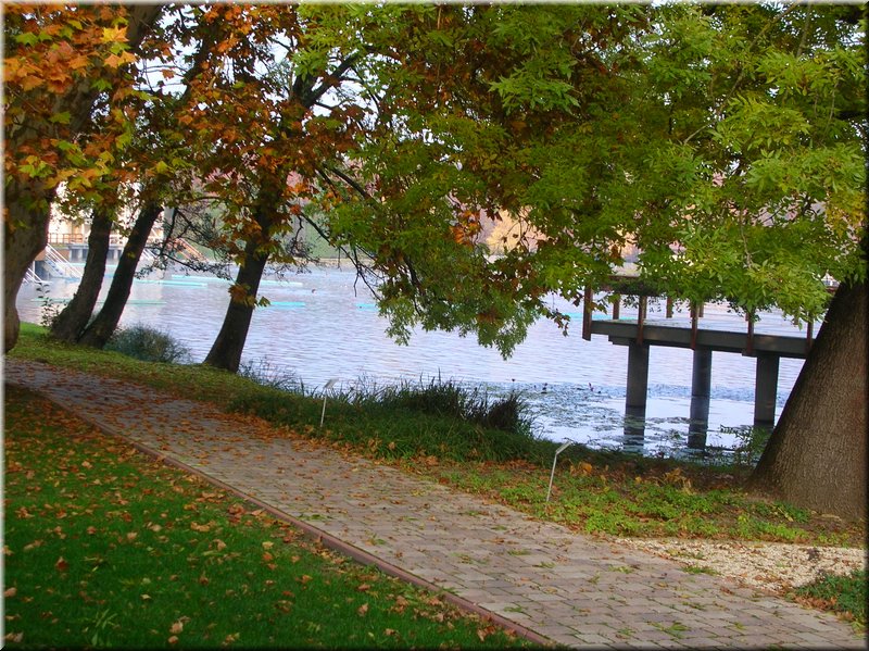 DSCN2444.JPG