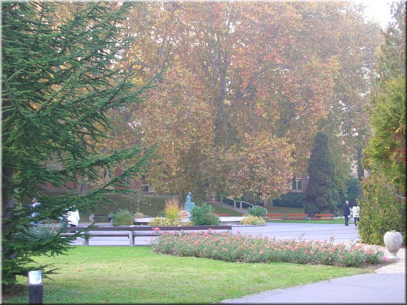 DSCN2450.JPG