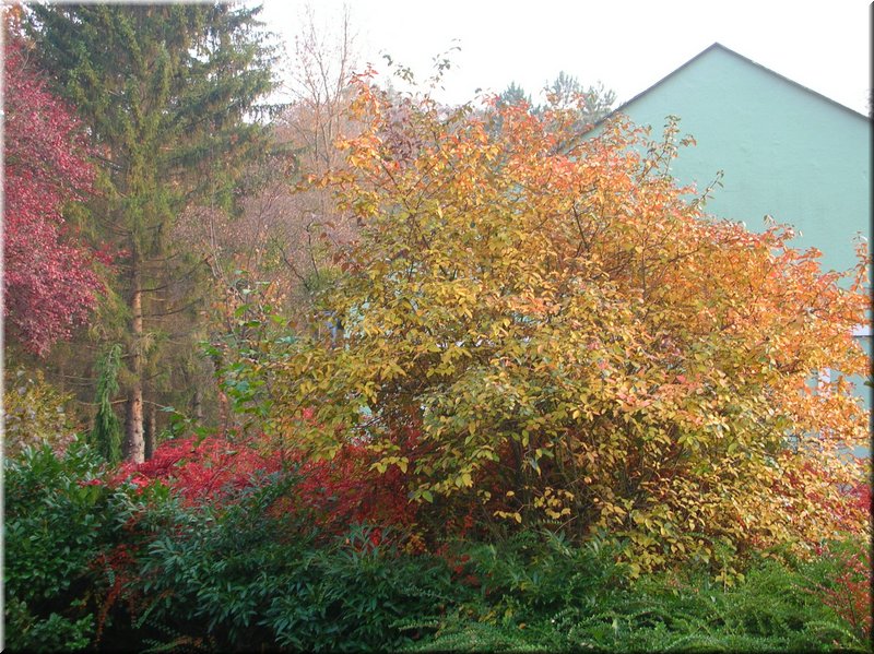 DSCN2452.JPG