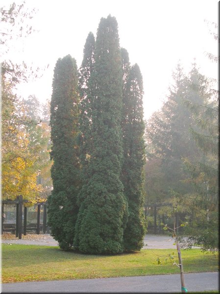 DSCN2456.jpg