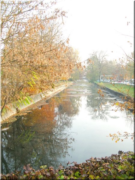 DSCN2457.jpg