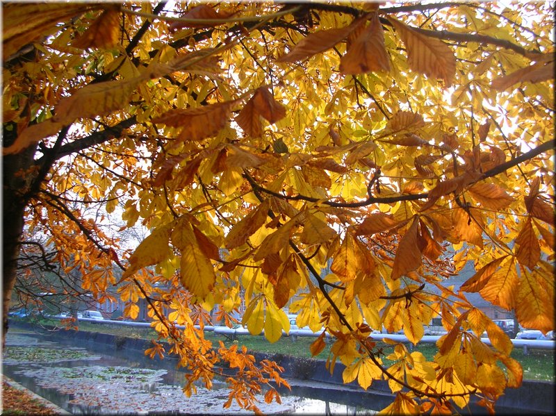 DSCN2458.JPG