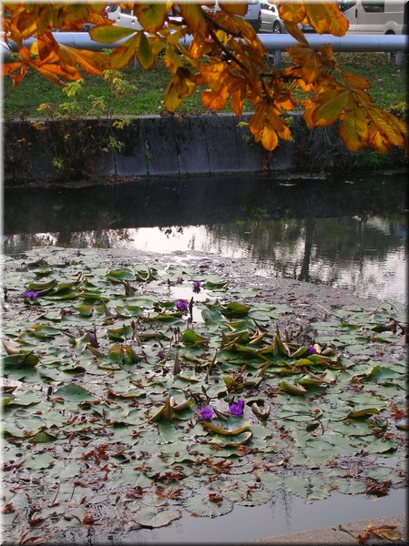 DSCN2468.jpg